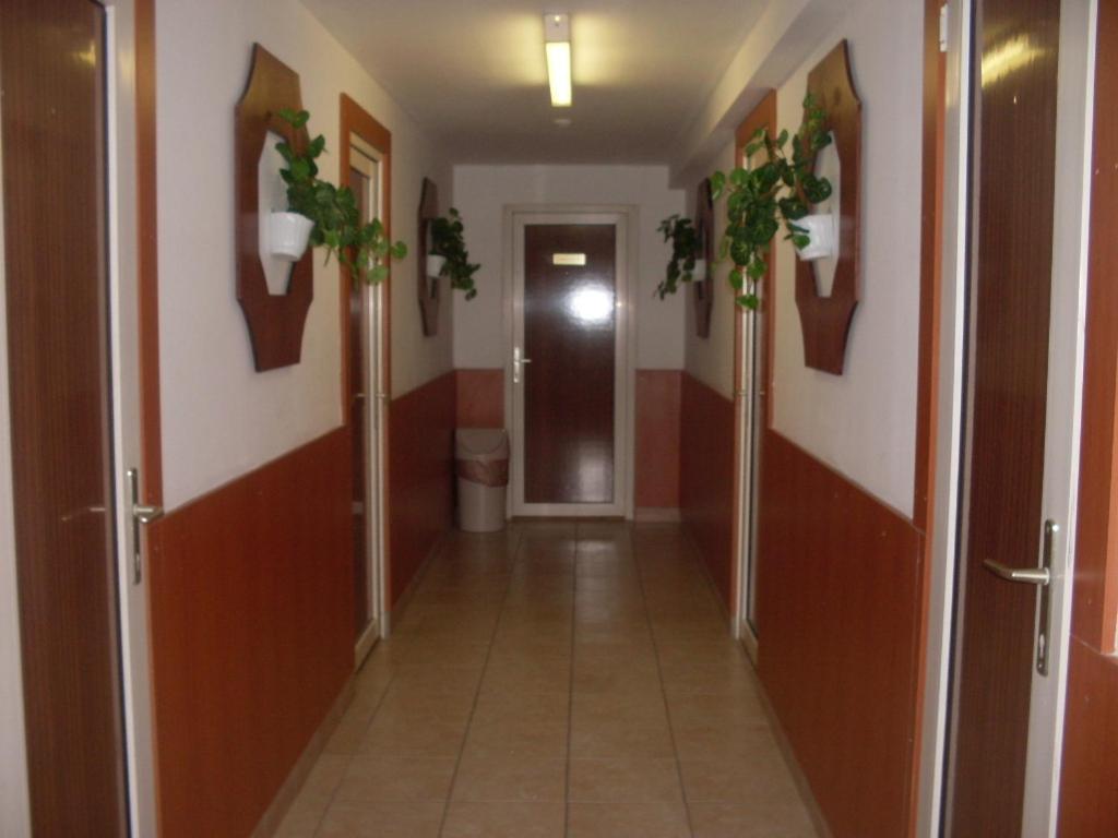 Hostel Botax *